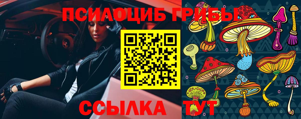 Псилоцибиновые грибы MAGIC MUSHROOMS  закладки  Сафоново  Вход с VPN 