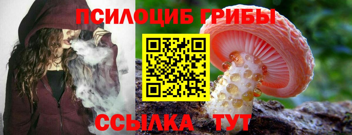 Псилоцибиновые грибы Cubensis Сафоново